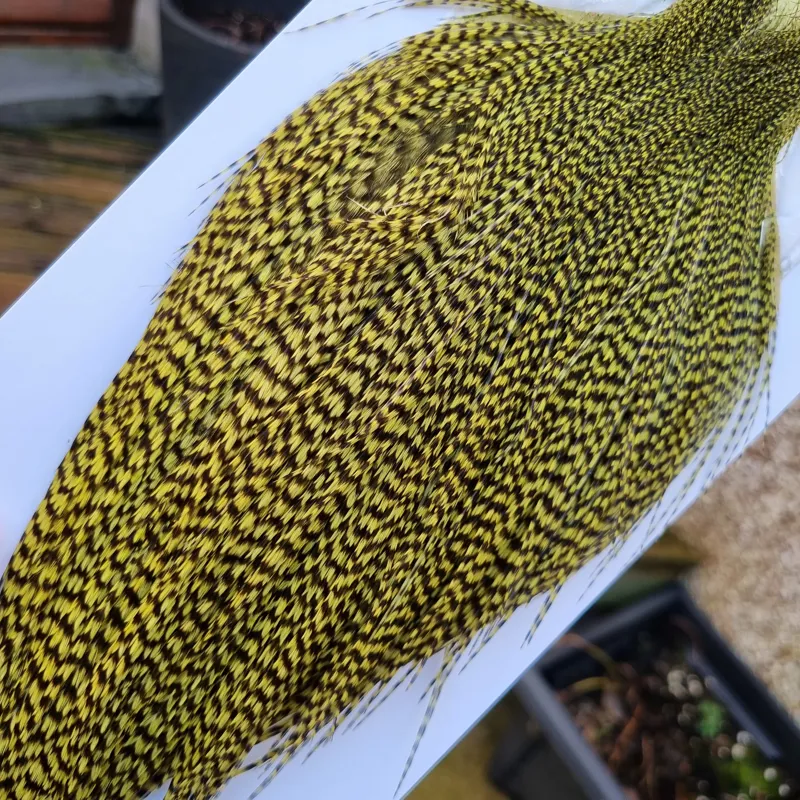 Whiting High and Dry Rooster Cape in Grizzly in Olive-8